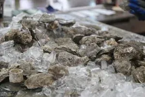 State Gemstones