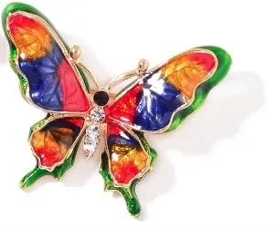 Colorful butterfly brooch.