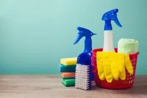 Spring Cleaning Tips to Rejuvenate Your Home