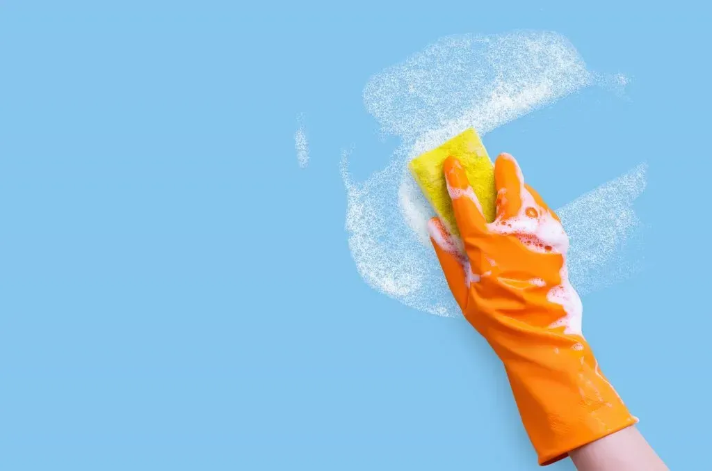 Spring Cleaning Tips