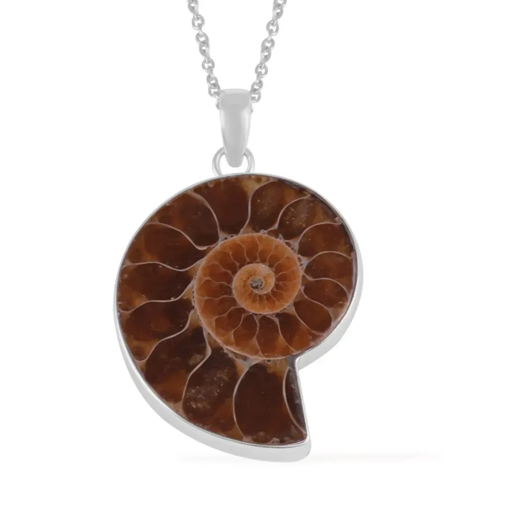 Ammonite pendant with sterling silver chain. 