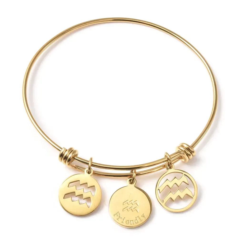 Aquarius Zodiac Bangle Bracelet Gift Set in ION Plated Yellow Gold Stainless Steel