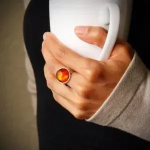 The Prehistoric Story of Baltic Amber