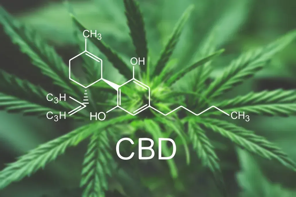 CBD oil chemical formula. 