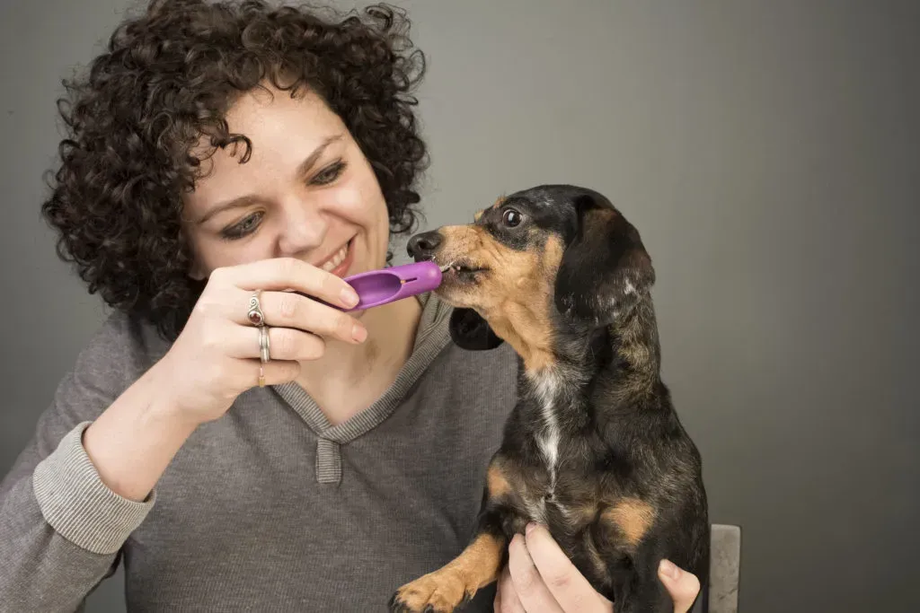 Woman showing how to brush dogs teeth.