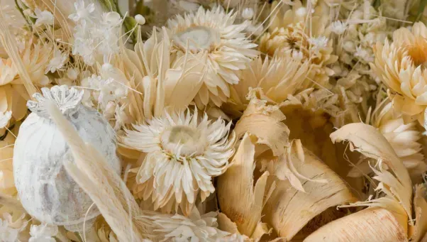 How to Preserve Flowers: 5 Easy Methods for Stunning Results