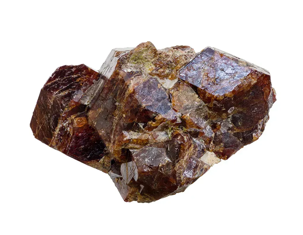 Dark brown grossular garnet against white backdrop.