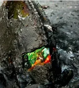 WHAT IS CANADIAN AMMOLITE? DISCOVER ITS GEMOLOGY & BENEFITS