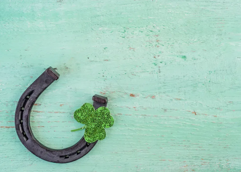 Horseshoe and green lucky clover displayed on an aqua background.
