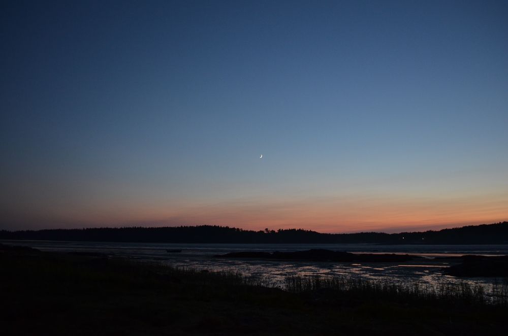 moon-tide_2178267629.jpeg
