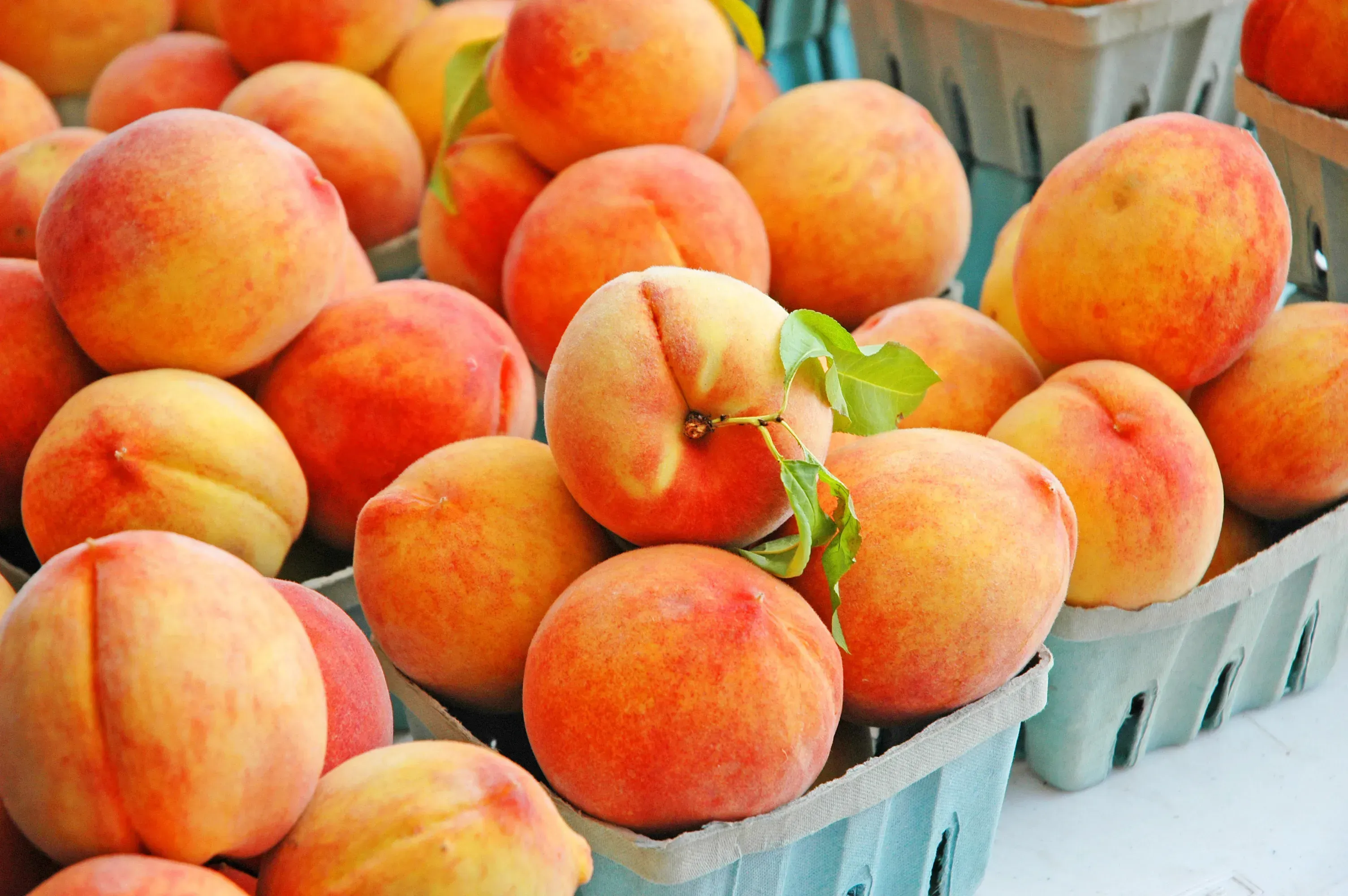 Pile of succulent peaches at the farmer's market. 