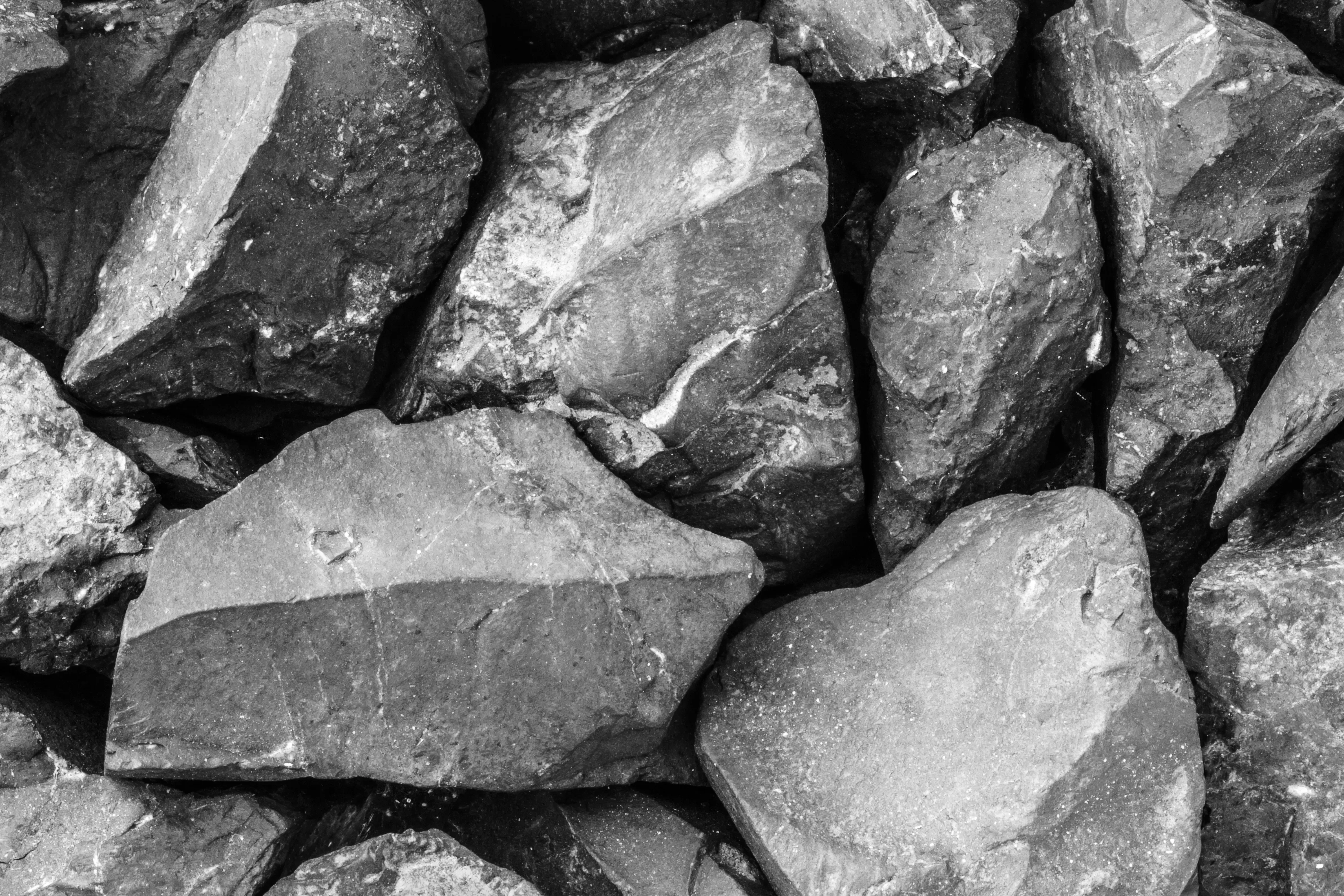 Rough specimens of shungite. 