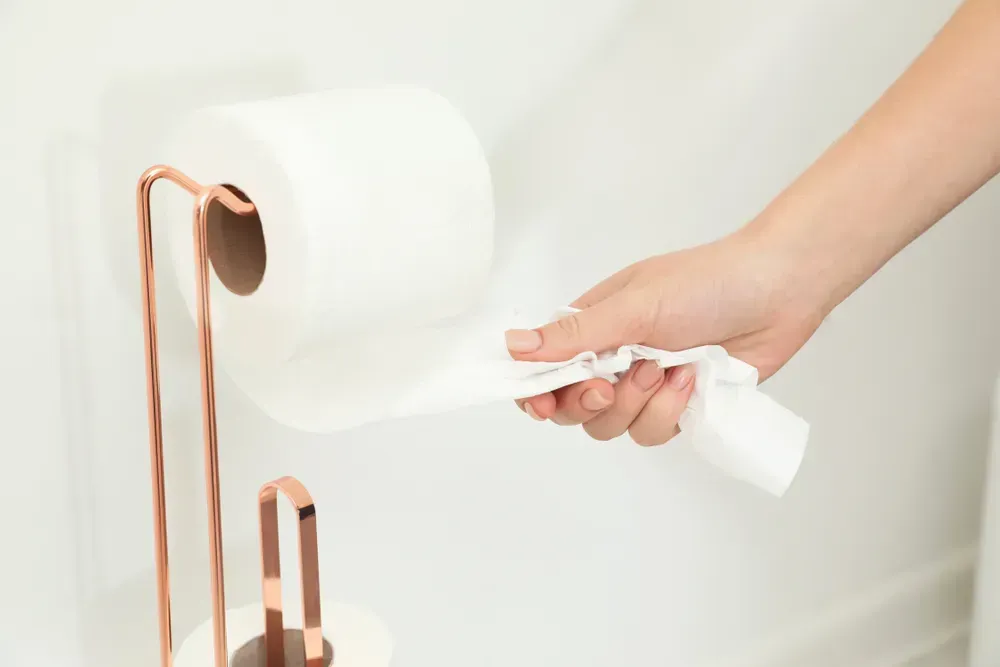 National Toilet Paper Day: Bidet VS Toilet Paper