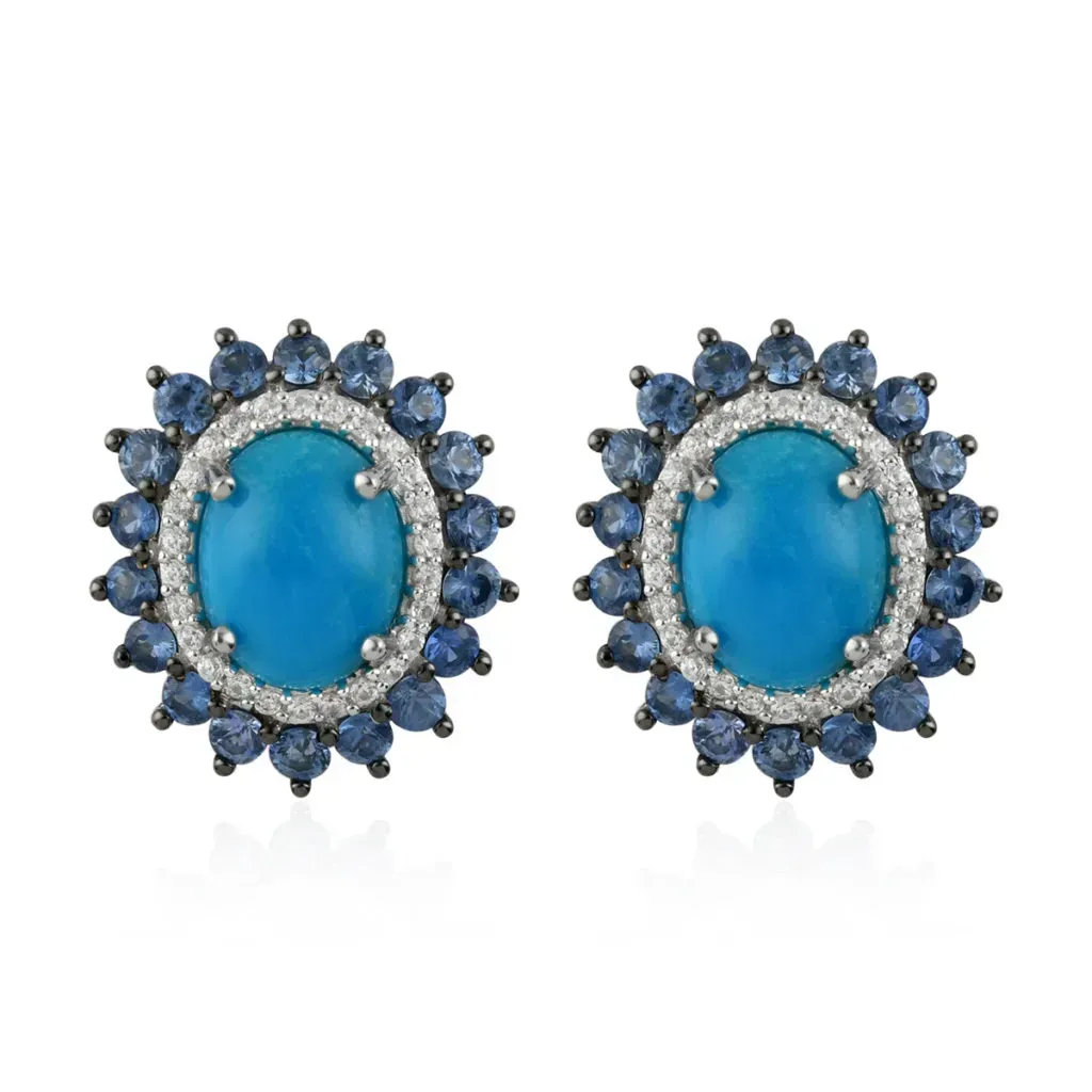 Sleeping beauty turquoise earrings.