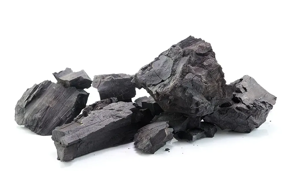 Bituminous coal against white backdrop.