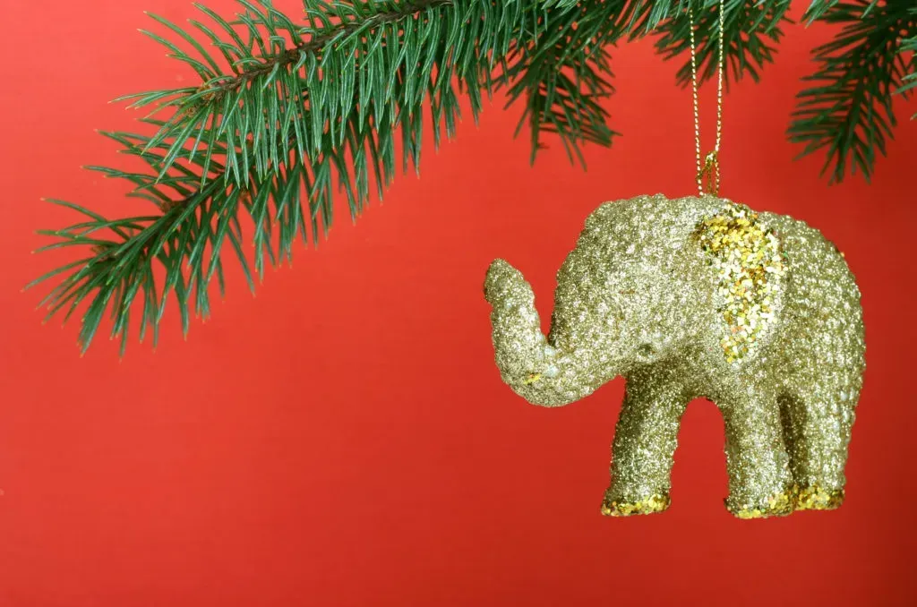 TOP AMUSING WHITE ELEPHANT GIFT IDEAS UNDER $25