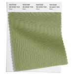 pantone_16_0430_tcx_fern_2x