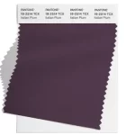 pantone_19_2514_tcx_italian_plum_2x